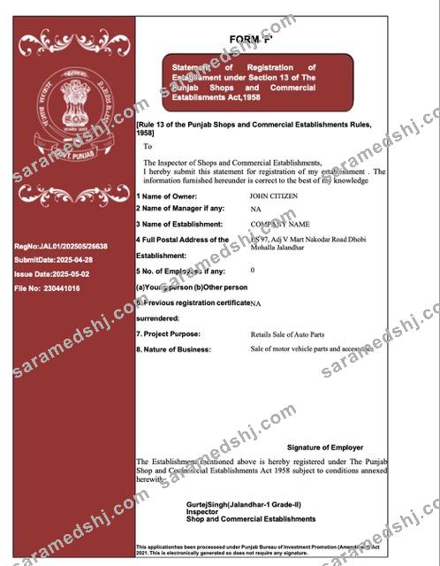 India Punjab registration certificate Word and PDF template, version 2
